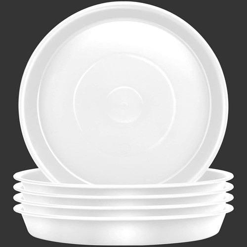 Pack plant saucers flower - pack, saucers,