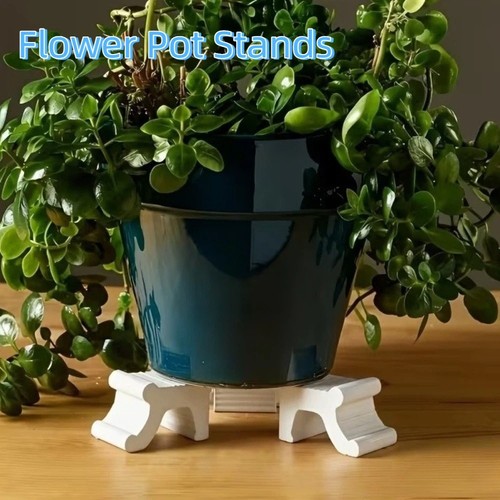 3pcs plant pot - plant, riser