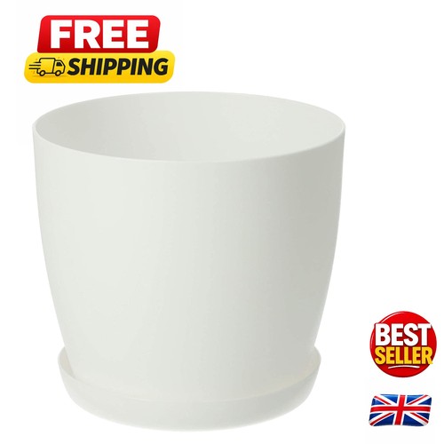 Chic white round - cm, plant