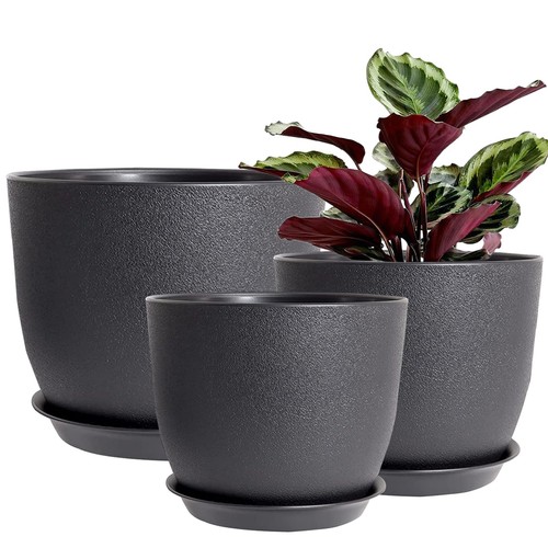 Profikla 30cm 25cm 23cm - profikla, 30cm,