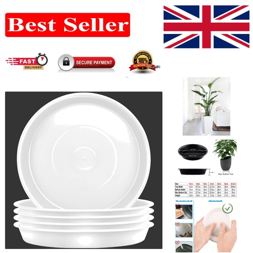Set white plant saucers - plant,
