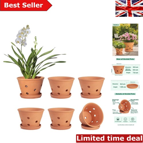 10cm terracotta pots with - 10cm,