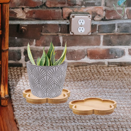 4pcs plant flower stand - plant,