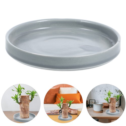 Flower pot saucer planter - flower,
