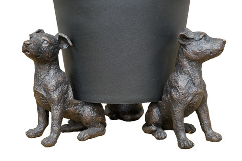 Set resin plant pot - plant,