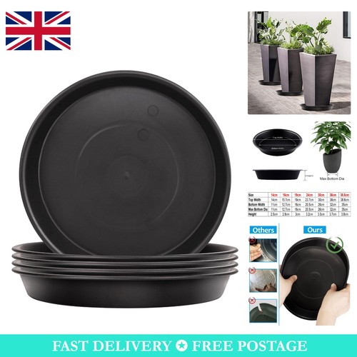 Pack black plastic plant - pack,