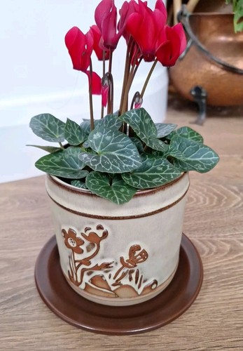 Vintage brown terracotta - 4,