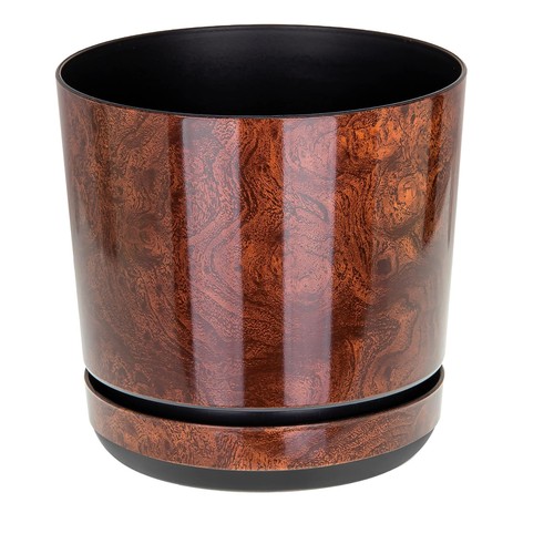 Large indoor plant pot with - plant,