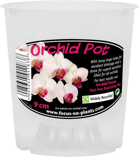 Cylindrical clear orchid - cylindrical, pot