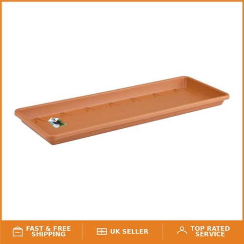 Stylish 50cm terra flower - 50cm, pot