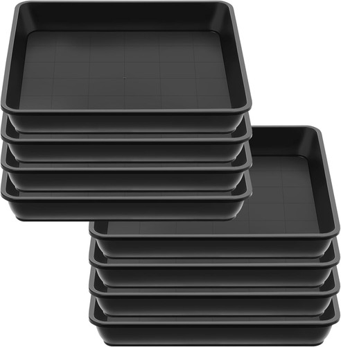 Pack square plant - 8,