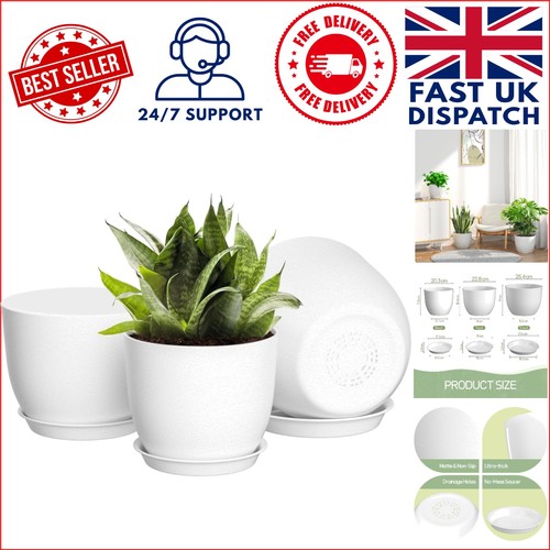 Stylish white flower pots - flower,