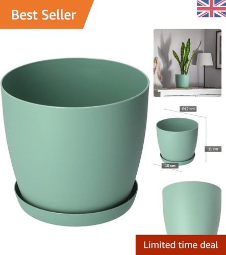 Flower pots colours sizes - 6, 8