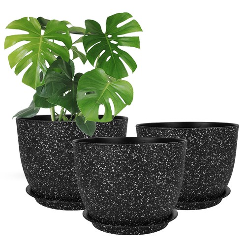 Csyy 20cm plant - csyy, pots