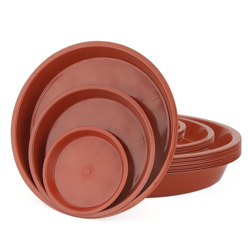 Pack sizes red plant - 3,