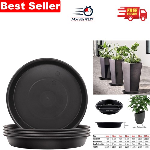 Plant saucers - plant,