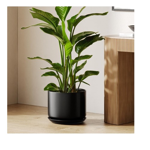 Ceramic indoor plant - plant, 30cm