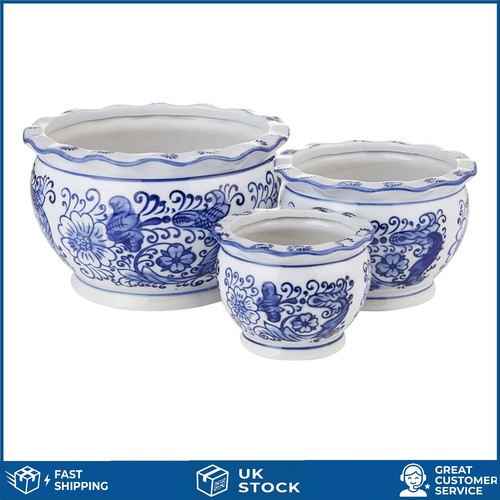 Elegant blue and white floral - blue,