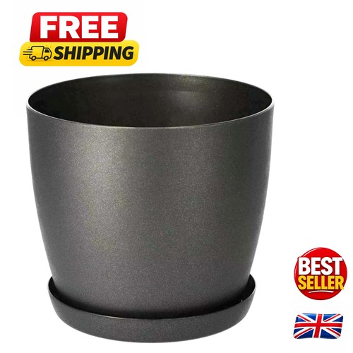 Stylish graphite matt plant - matt,