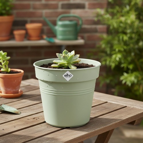 Green basics ø30cm - basics,