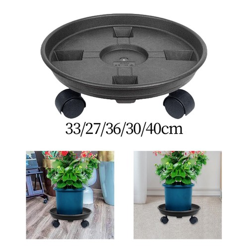 Plant saucer rolling - plant, saucer,